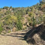 Discover the Allure of Ranikhet: Unveiling Plots and Land for Sale in Ranikhet
