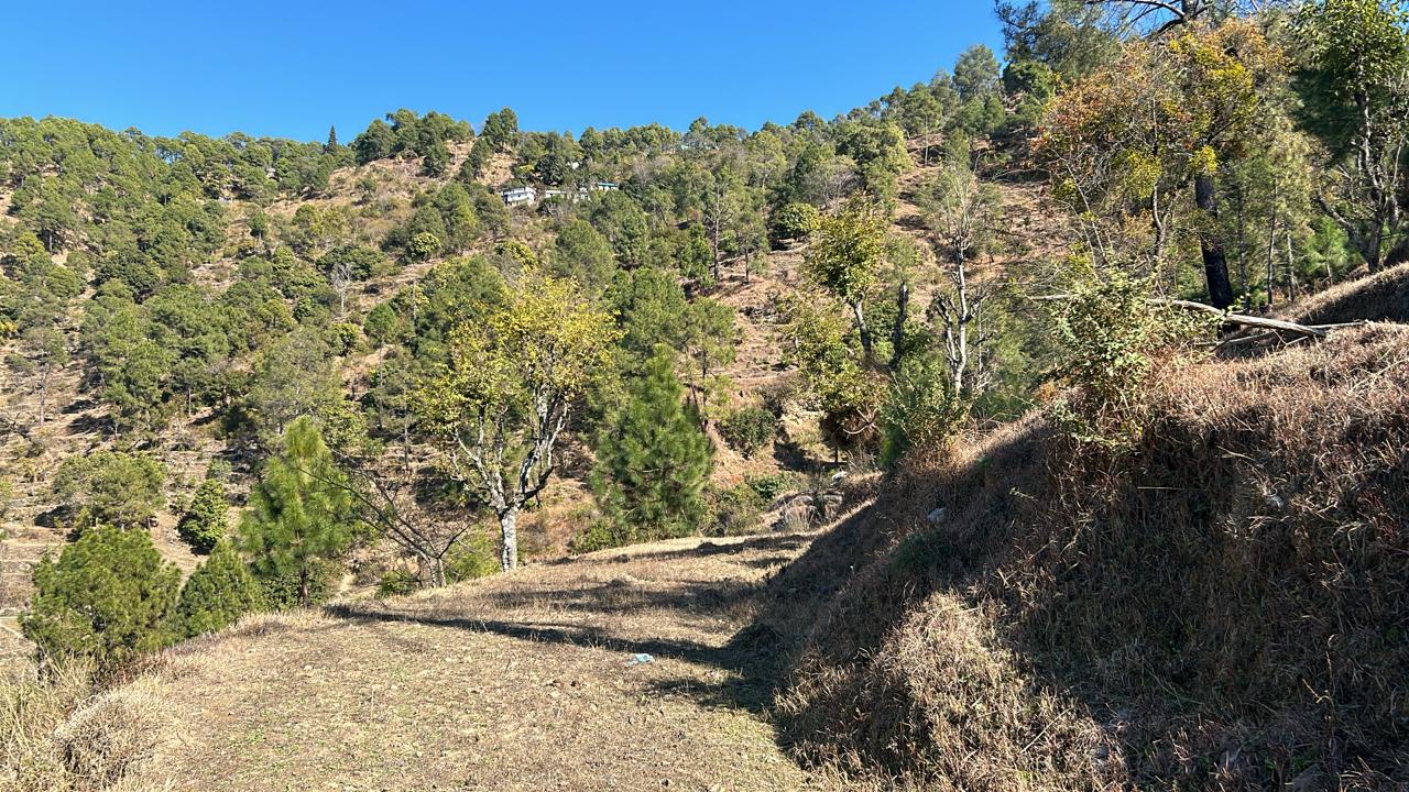 Read more about the article Discover the Allure of Ranikhet: Unveiling Plots and Land for Sale in Ranikhet