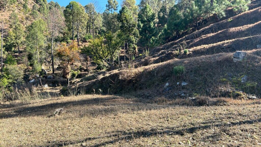 Land for Sale in Ranikhet