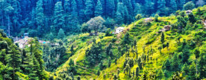 Read more about the article Discover the Enchanting Charm of Ranikhet, Uttarakhand: A Guide to Properties in this Picturesque Paradise
