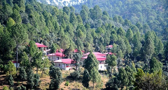 Top 5 Best Places to Visit in Ranikhet
