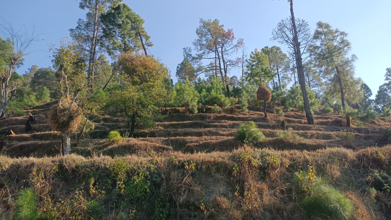 plots in majkhali