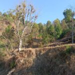 Plots in Majkhali, Ranikhet with KP Hills Pvt Ltd
