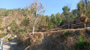 Read more about the article Plots in Majkhali, Ranikhet with KP Hills Pvt Ltd