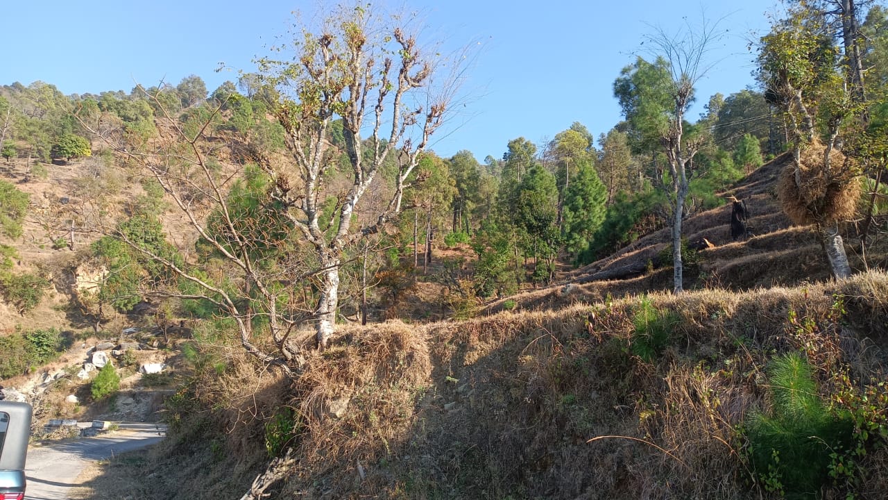 Read more about the article Plots in Majkhali, Ranikhet with KP Hills Pvt Ltd